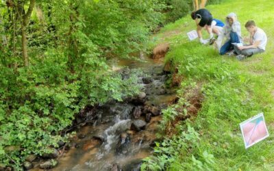 Découverte de la biodiversité