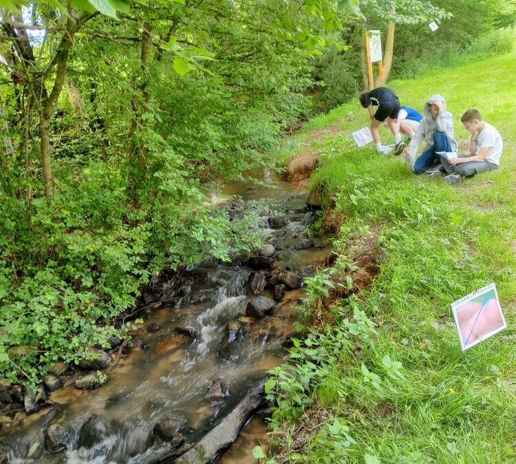 Découverte de la biodiversité